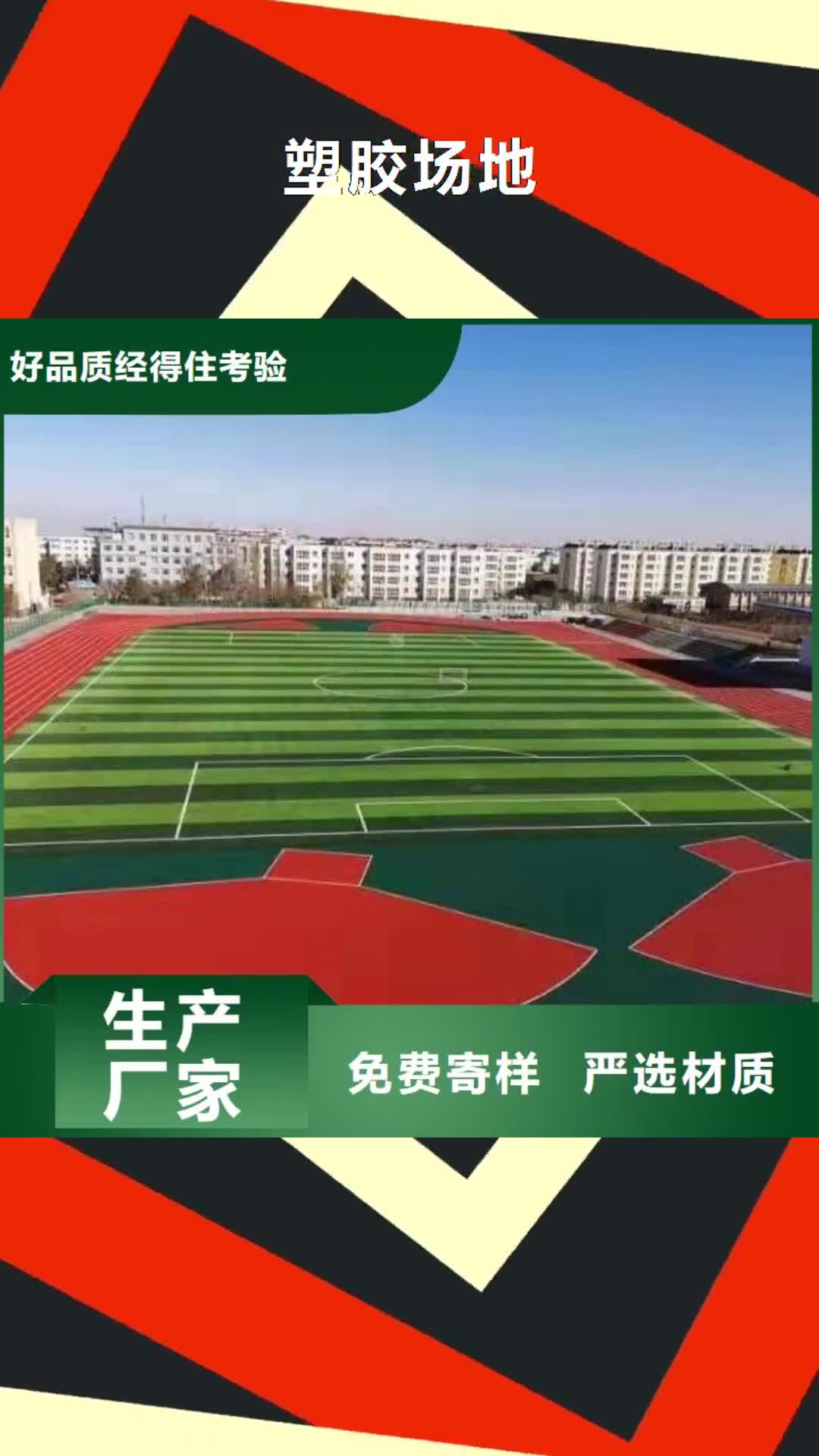 【大同 塑胶场地-攀岩墙搭建热销产品】