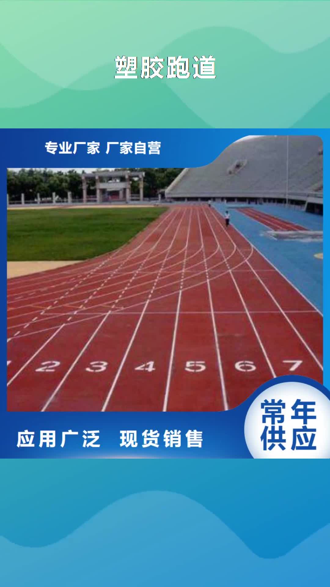 黄南【塑胶跑道】  塑胶球场施工当地厂家值得信赖