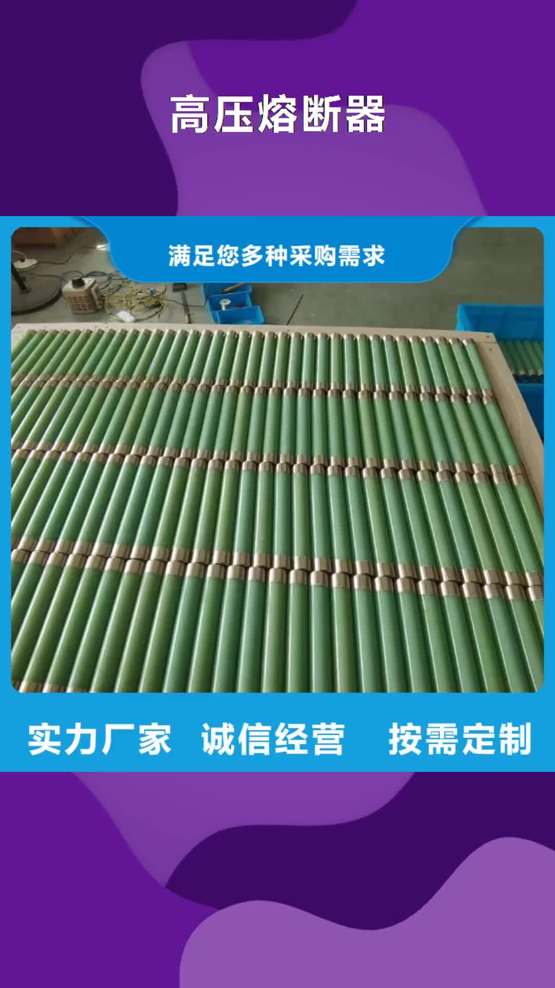 【泰安 高压熔断器,高压负荷开关价格实惠工厂直供】