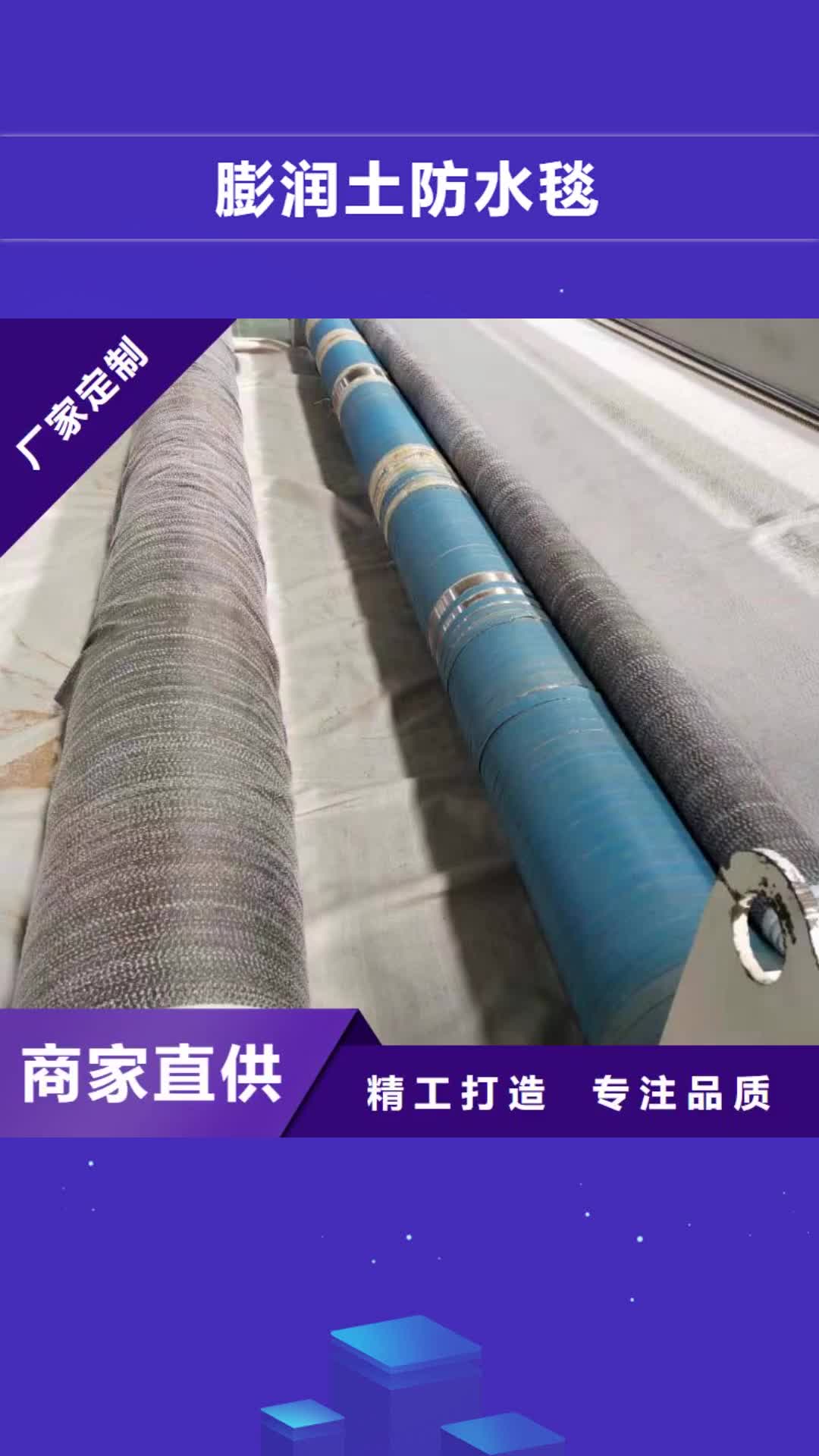 淄博【膨润土防水毯】 三维土工网垫品牌企业