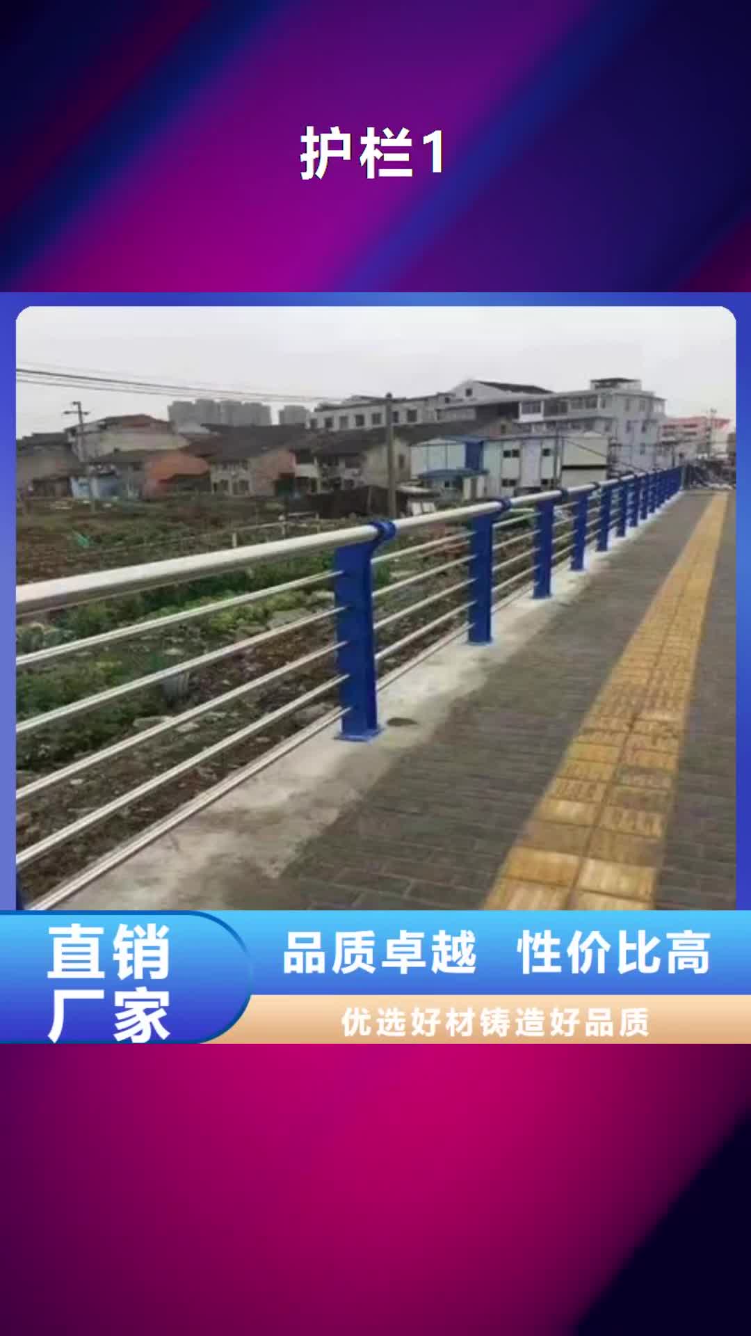 【阳江 护栏1-桥梁防撞护栏好品质售后无忧】