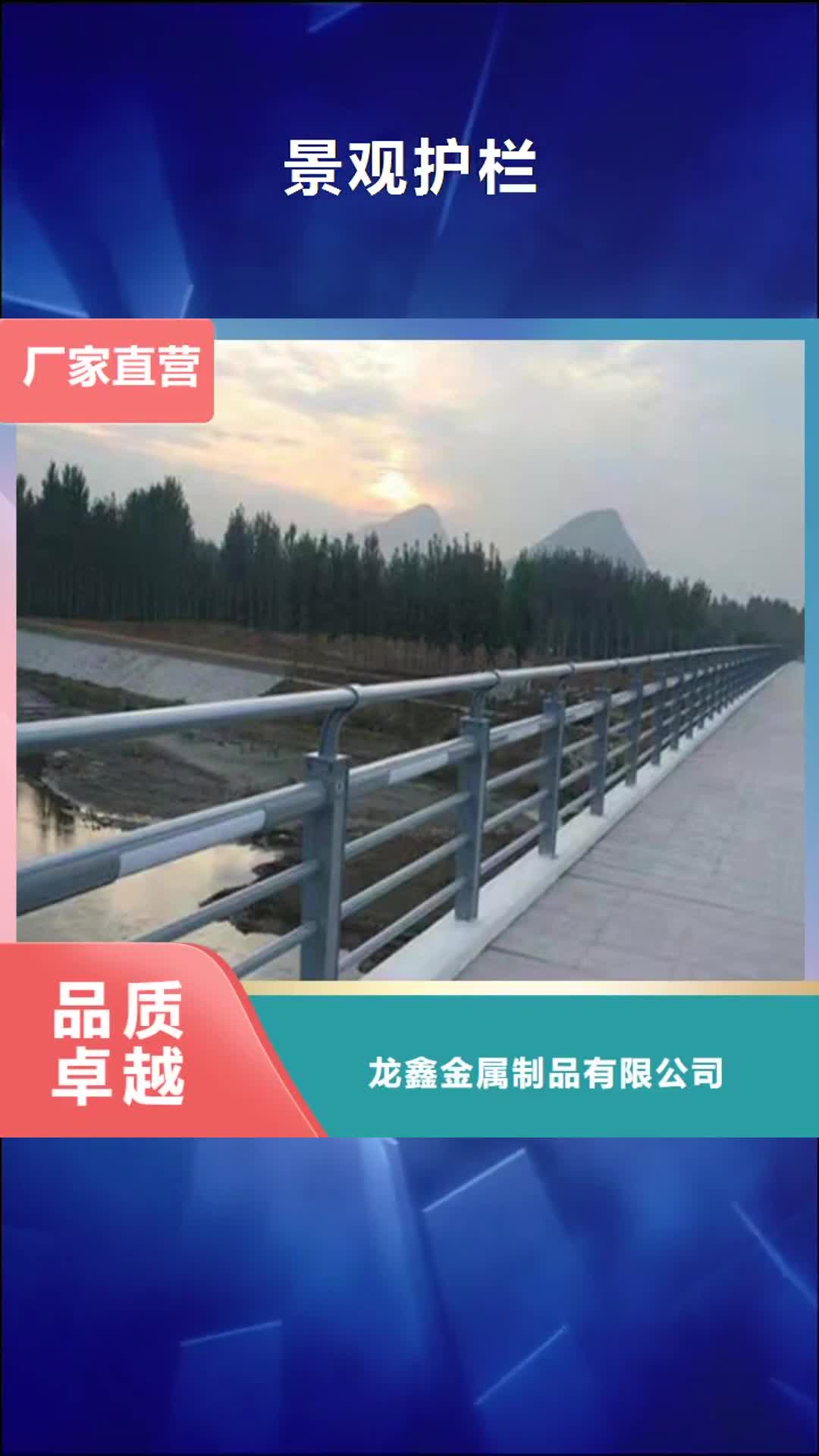 阜阳 景观护栏 【景观桥梁护栏】厂家技术完善