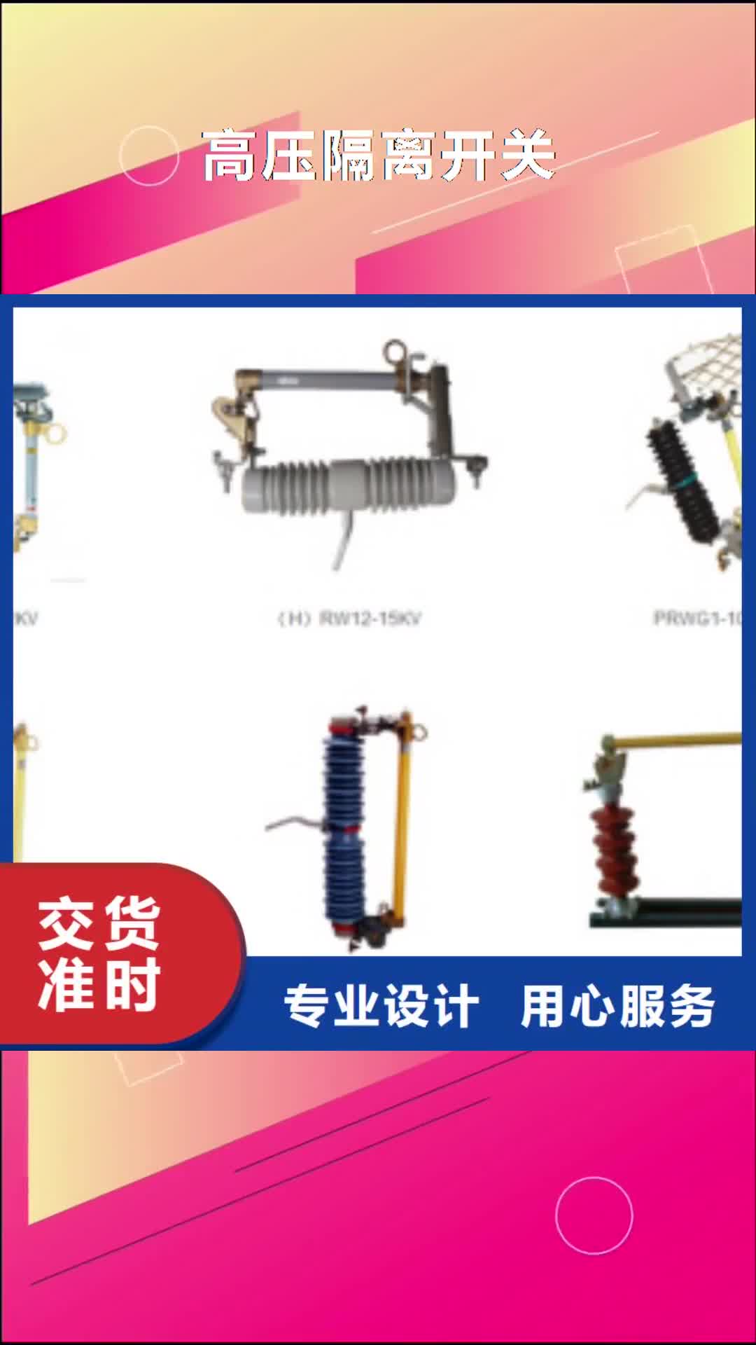 江苏【高压隔离开关】-绝缘子满足您多种采购需求