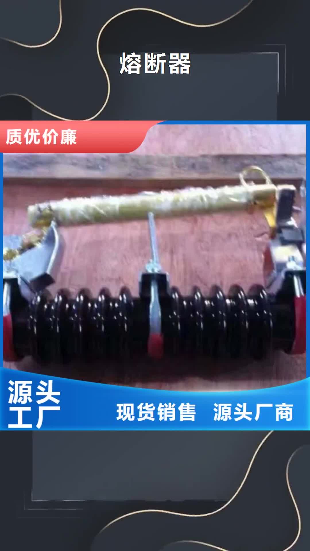 嘉兴【熔断器】_高压负荷开关货源直供