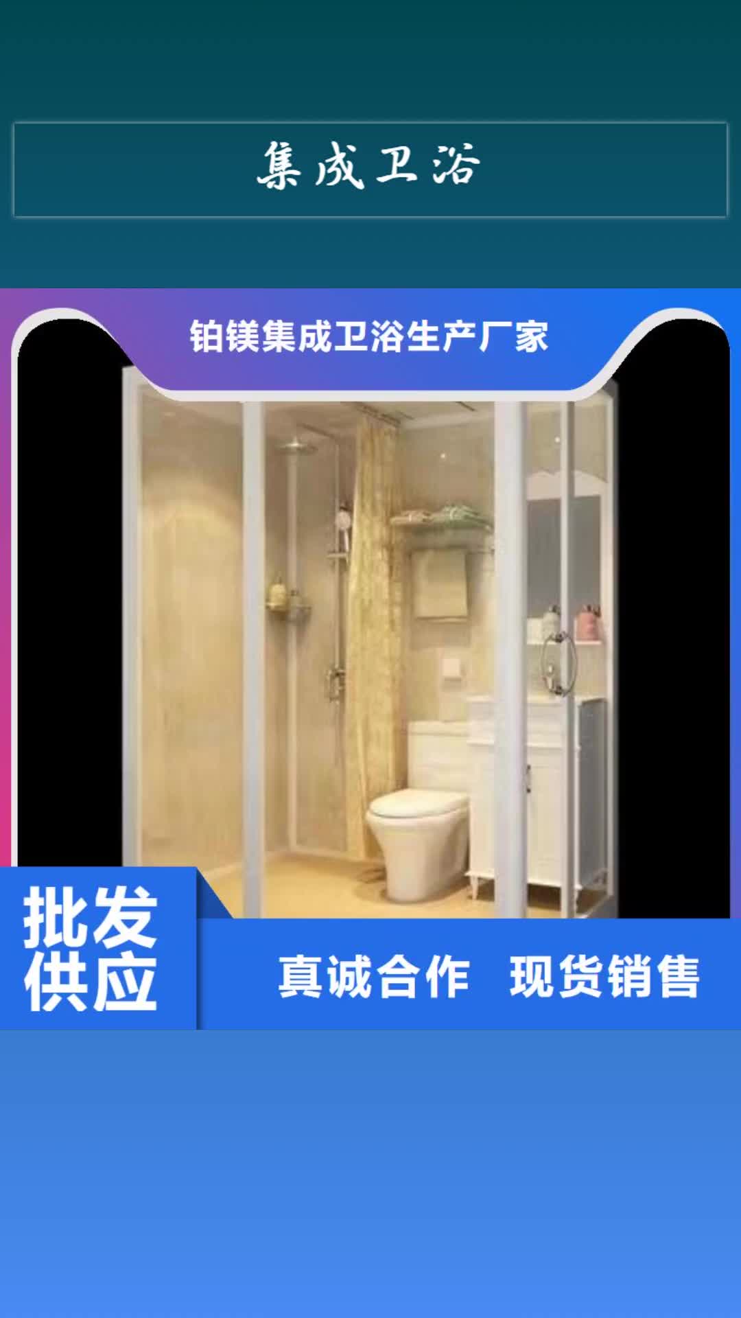 忻州 集成卫浴 【金属雕花厕  所】欢迎来电咨询