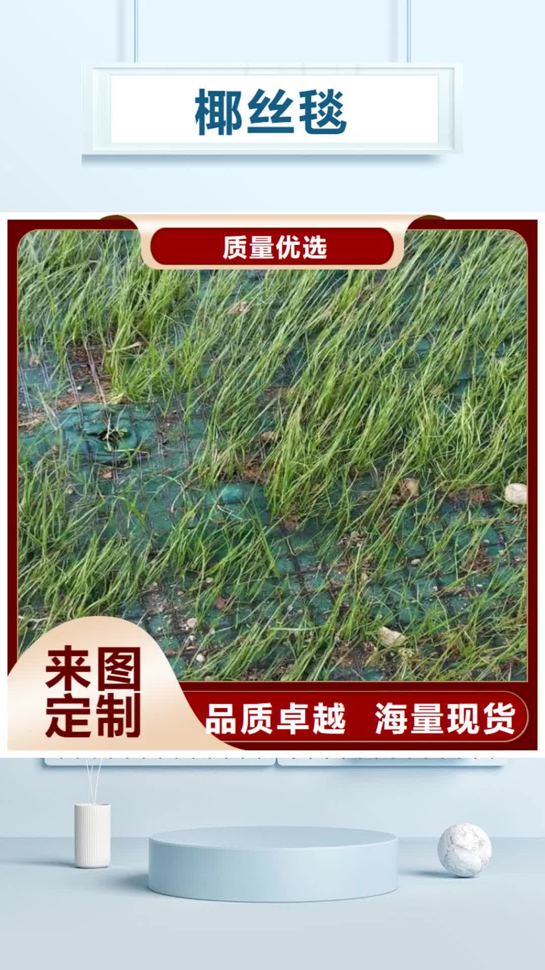 红河 椰丝毯【防渗膜】厂家直销省心省钱