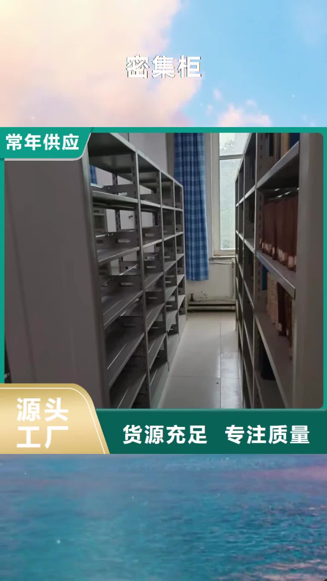 秦皇岛 密集柜品牌大厂家