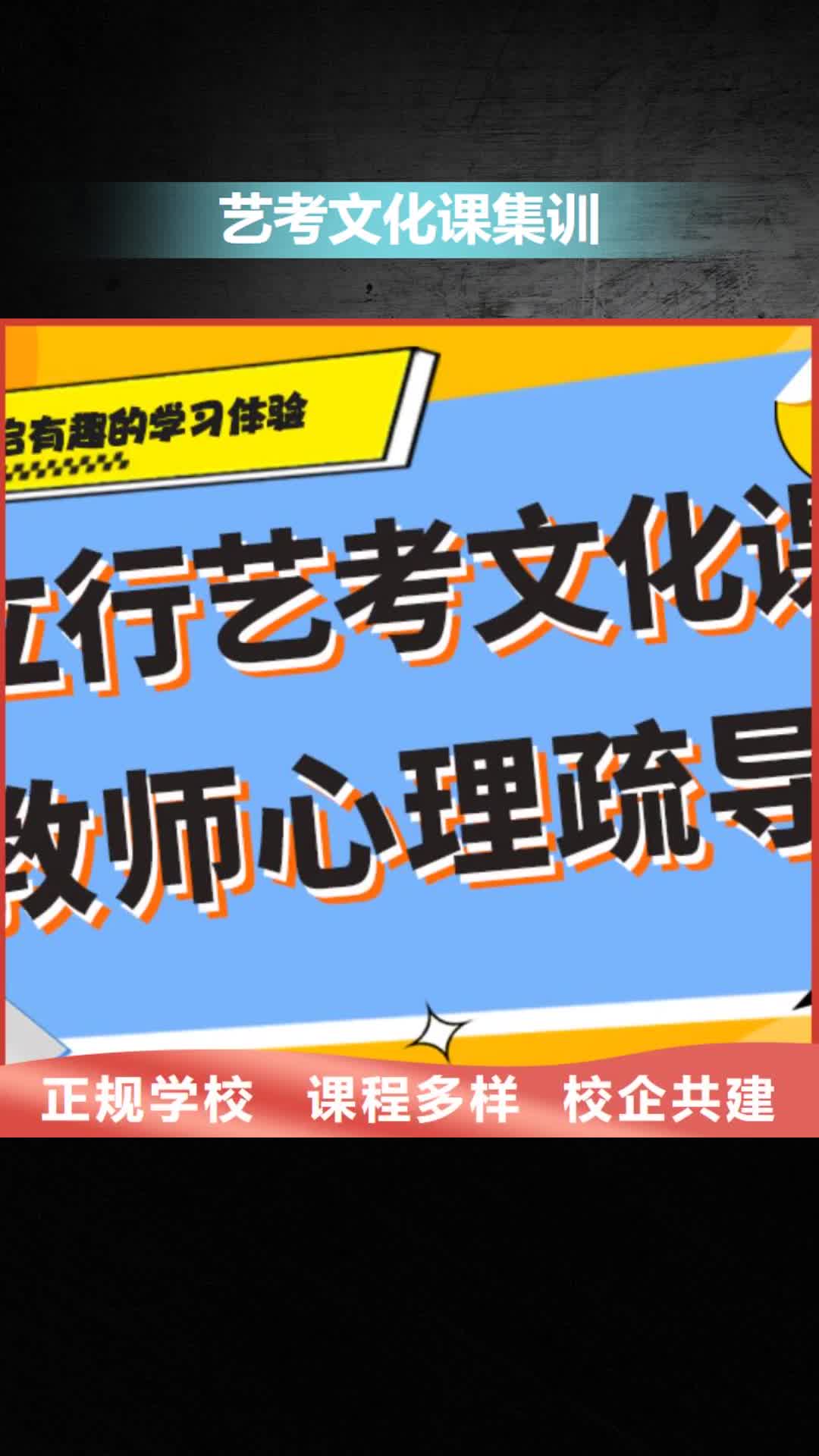 铜陵【艺考文化课集训】 艺考手把手教学