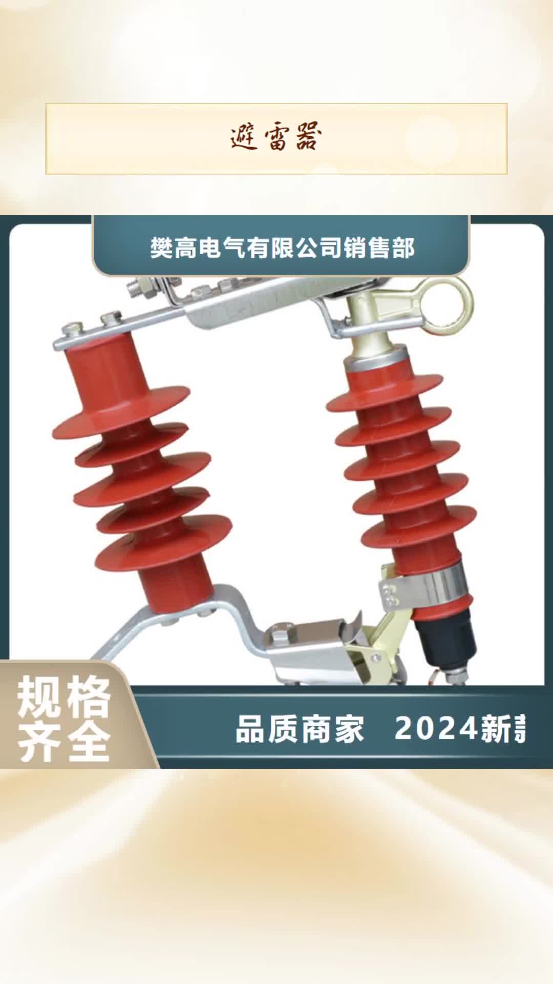 邯郸避雷器高低压电器厂家直销安全放心