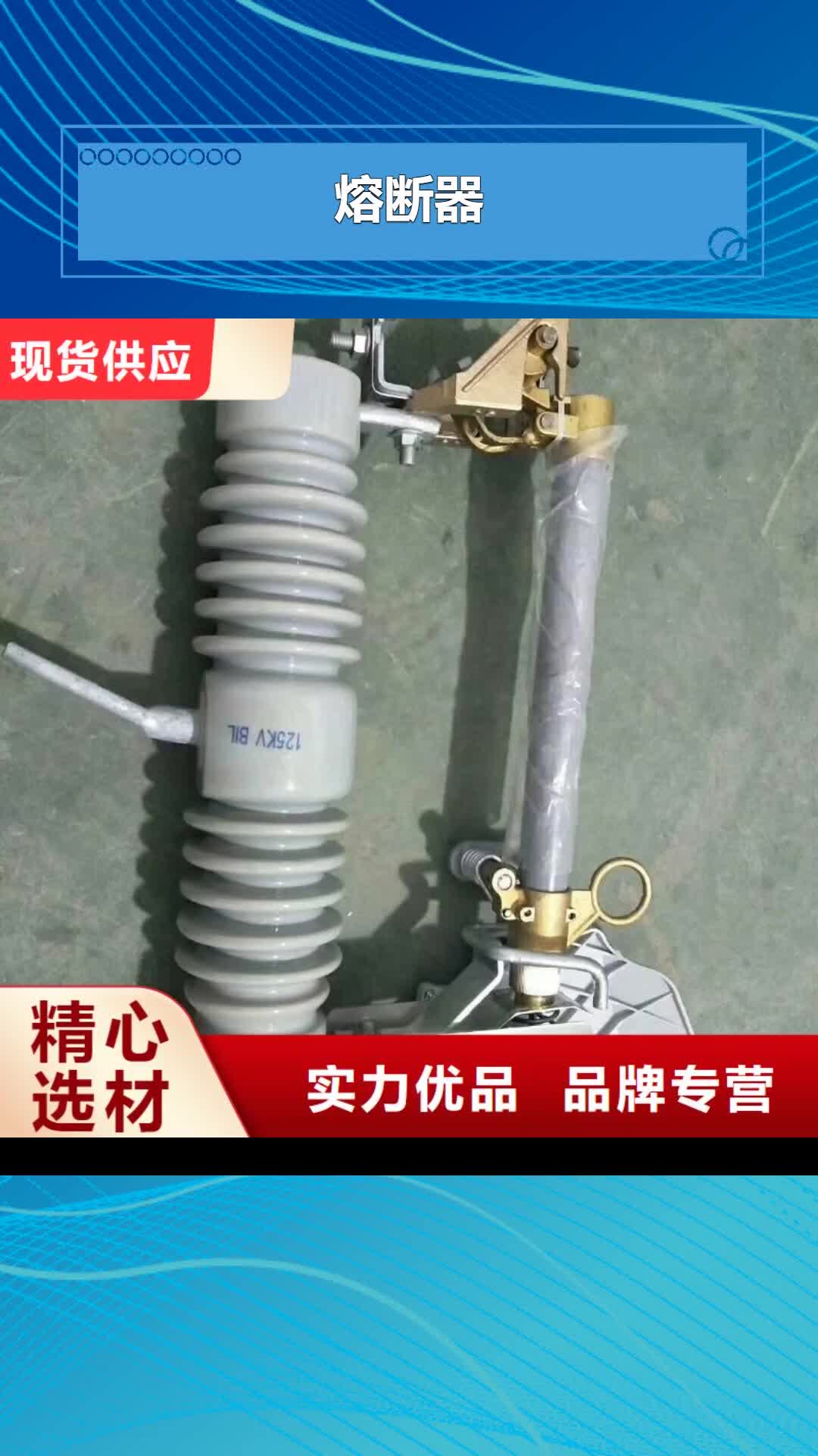 银川 熔断器_【高低压电器】做工精细