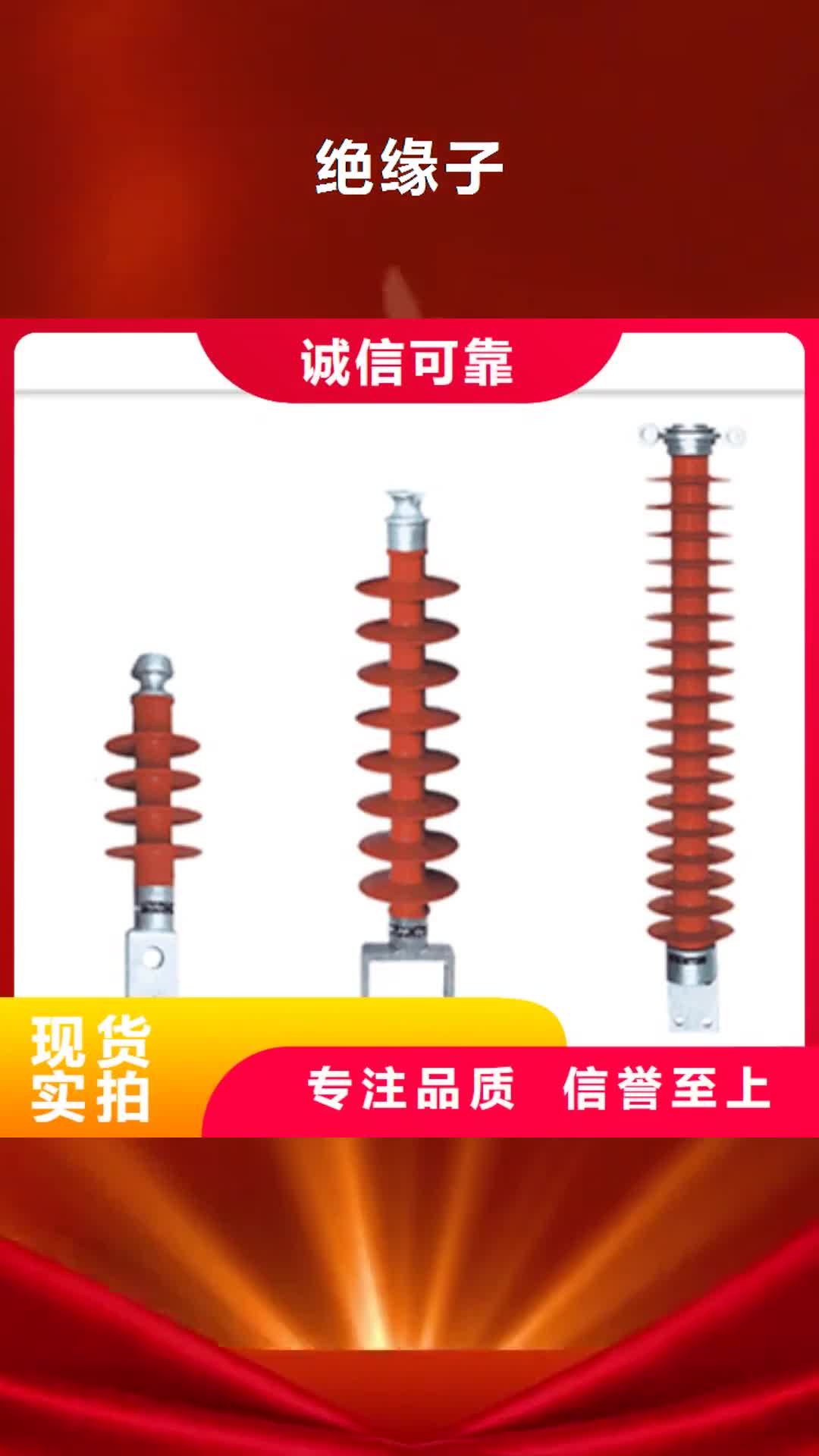 烟台绝缘子,【固定金具】好品质售后无忧