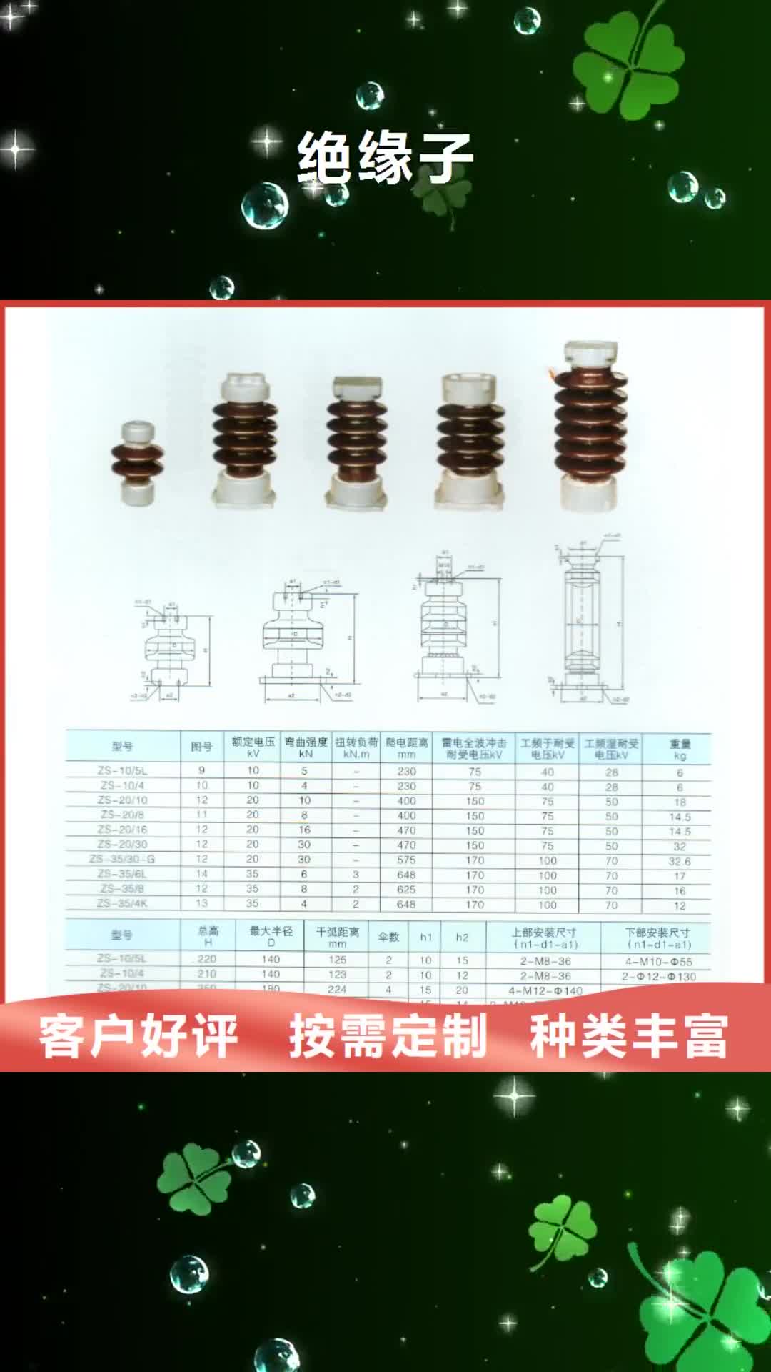 白银 绝缘子 【限流熔断器】专业品质