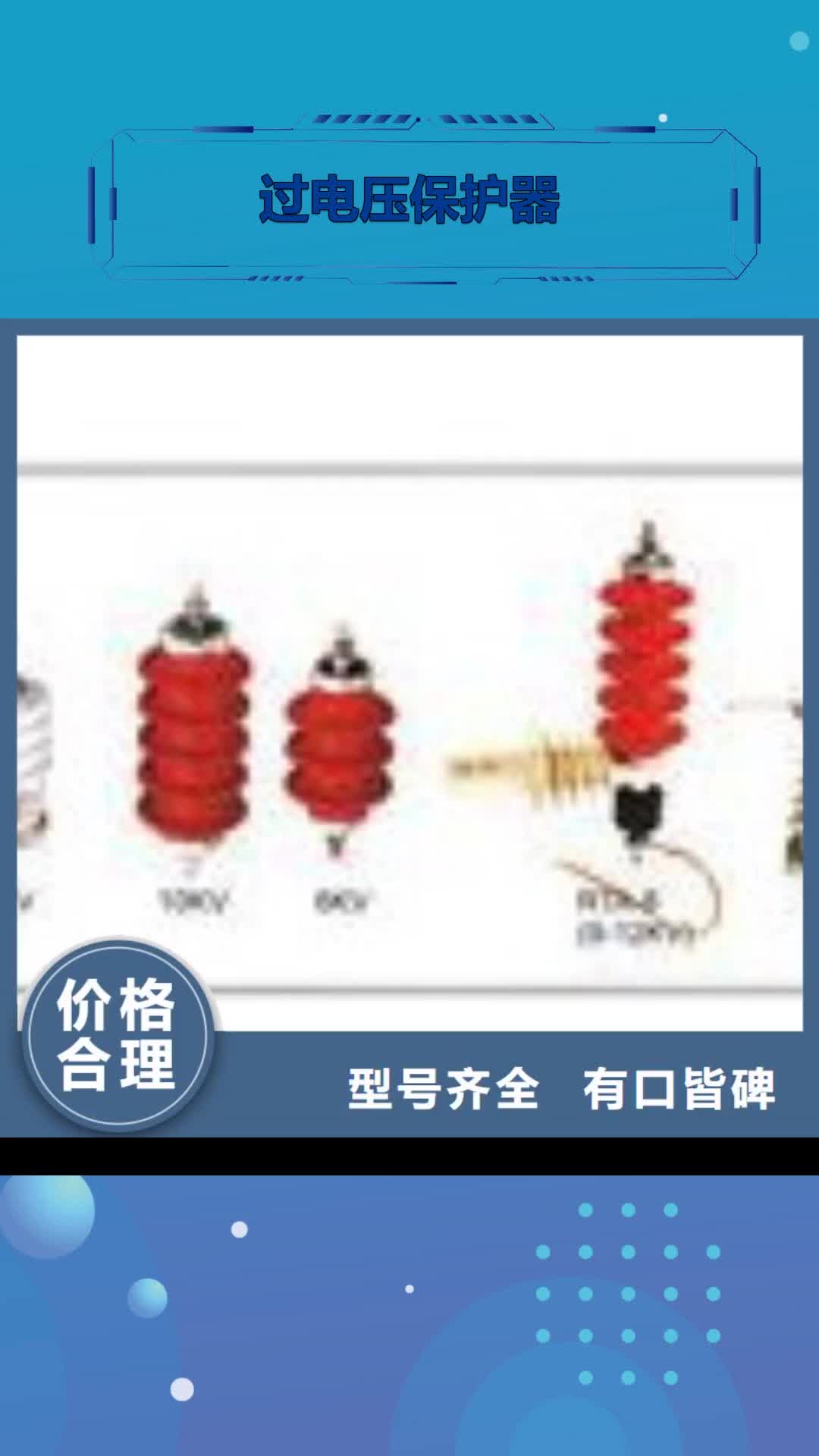 德州【过电压保护器】 真空断路器欢迎来电询价