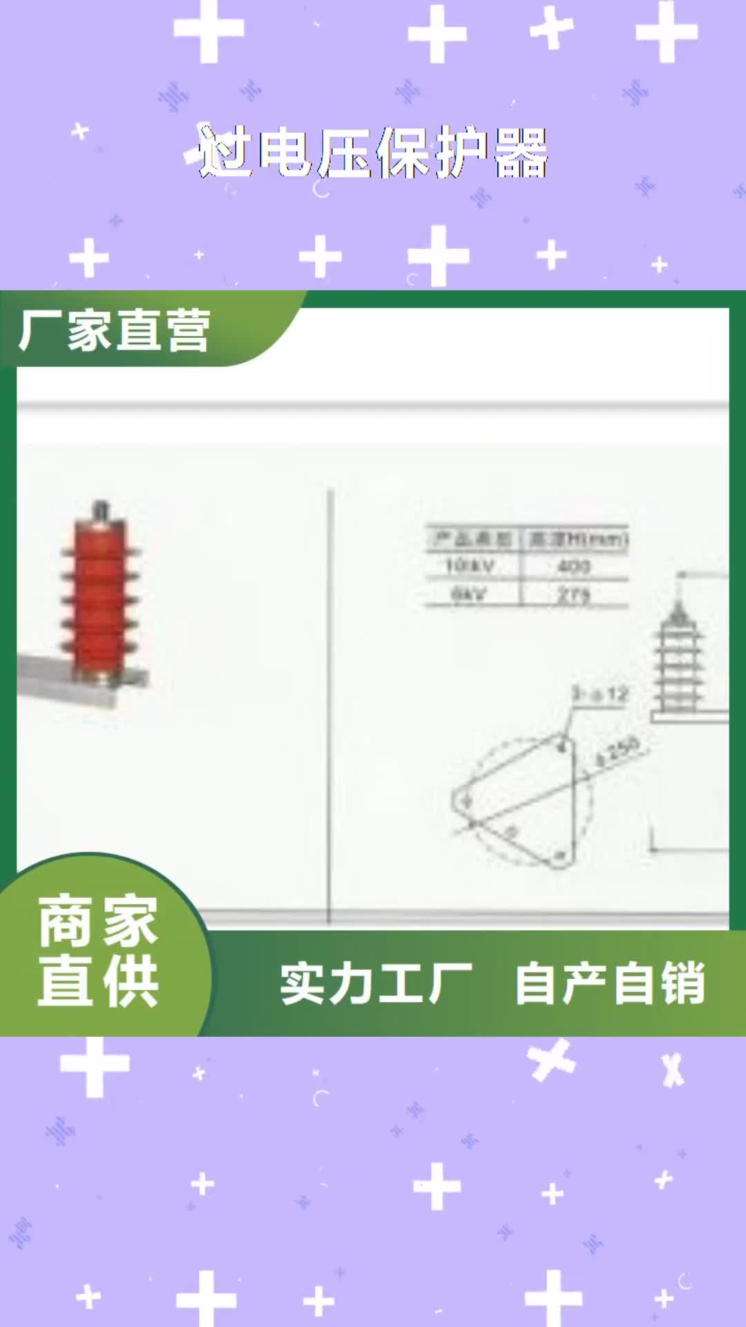 娄底【过电压保护器】 氧化锌避雷器真材实料加工定制