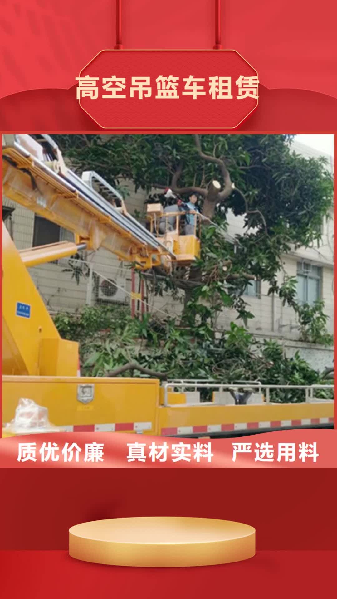 黑龙江 高空吊篮车租赁实体厂家